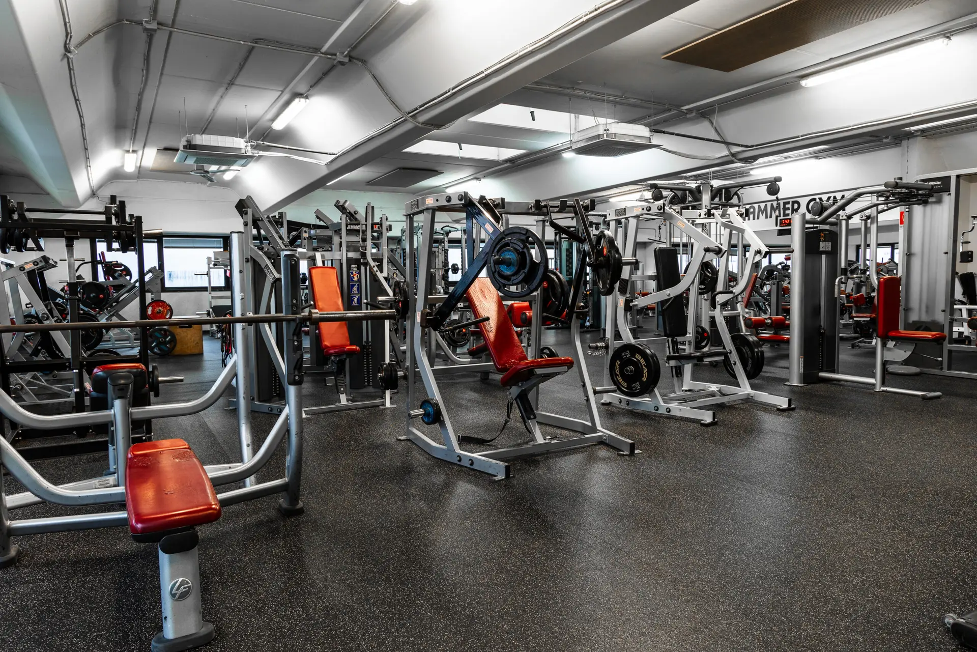 Spazi e attrezzatura Hammer Gym